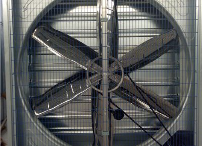 點擊查看詳細信息<br>標題：Heavy Hammer Type Animal Husbandry Fan 閱讀次數(shù)：1429
